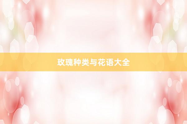 玫瑰种类与花语大全