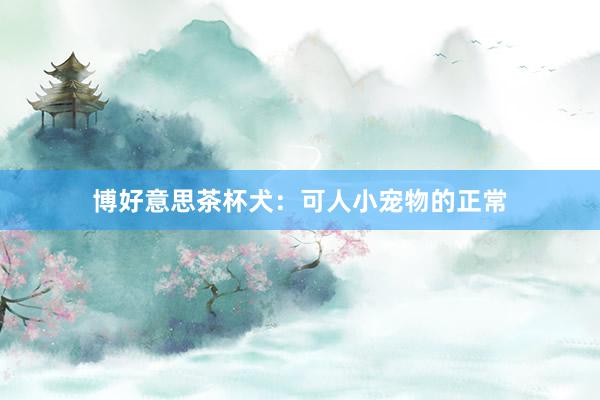 博好意思茶杯犬：可人小宠物的正常